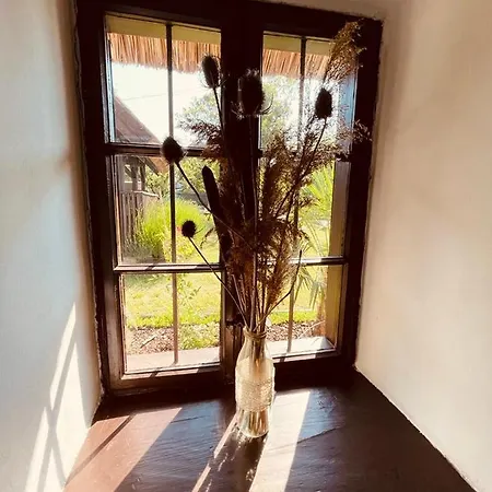 A Haziko - * Vonyarcvashegy